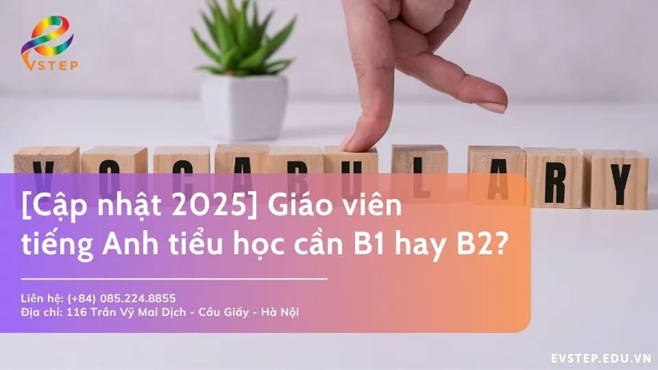 Giáo viên tiếng Anh tiểu học cần B1 hay B2? Tiêu chuẩn 2026
