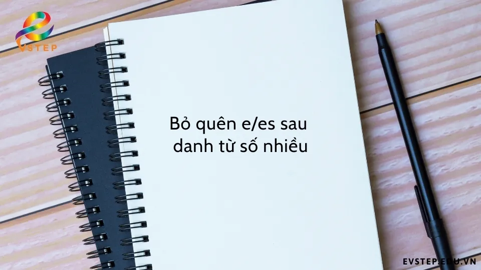 Bo-quen-s-va-es-sau-danh-tu-so-nhieu