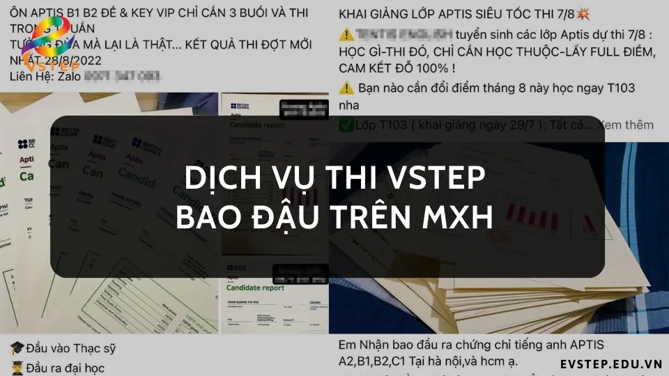 dich-vu-thi-vstep-bao-dau