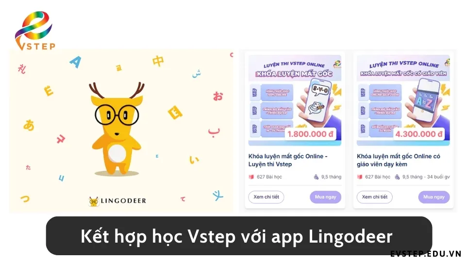 ket-hop-lingodeer-voi-lo-trinh-on-thi-vstep