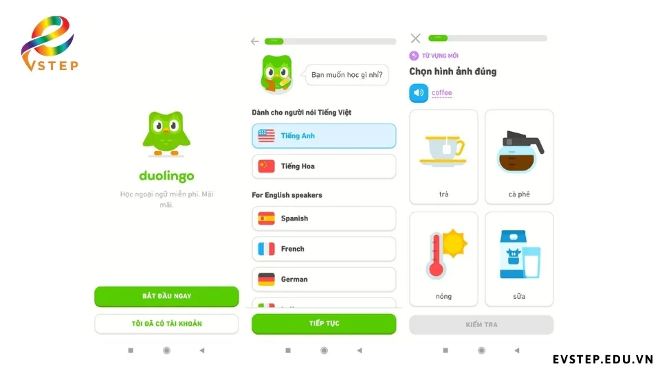 tinh-nang-app-hoc-ngu-phap-tieng-anh-tren-may-tinh-duolingo