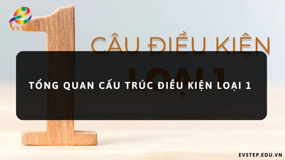 tong-quan-cau-truc-dieu-kien-loai-1