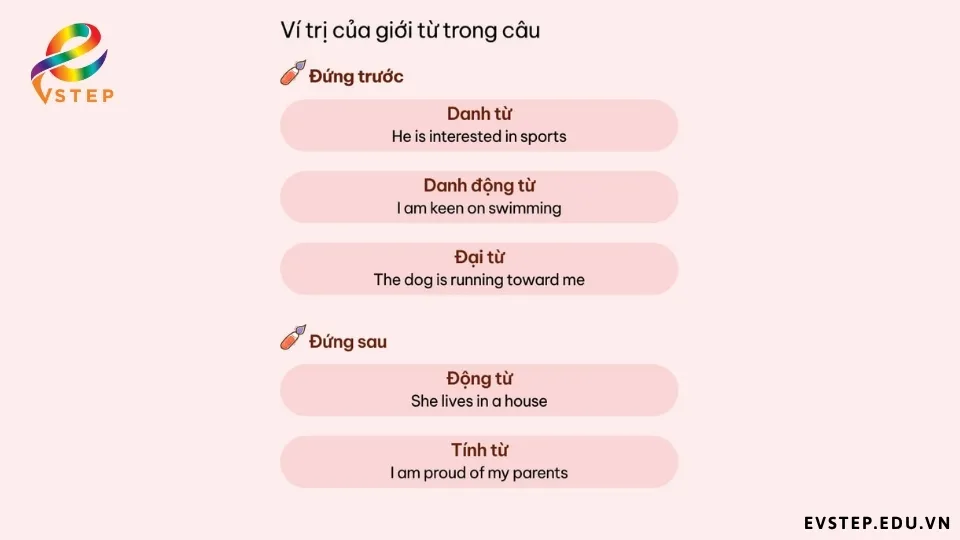 vi-tri-cua-gioi-tu-trong-cau
