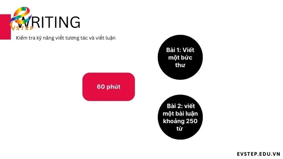 cau-truc-de-thi-writing-vstep