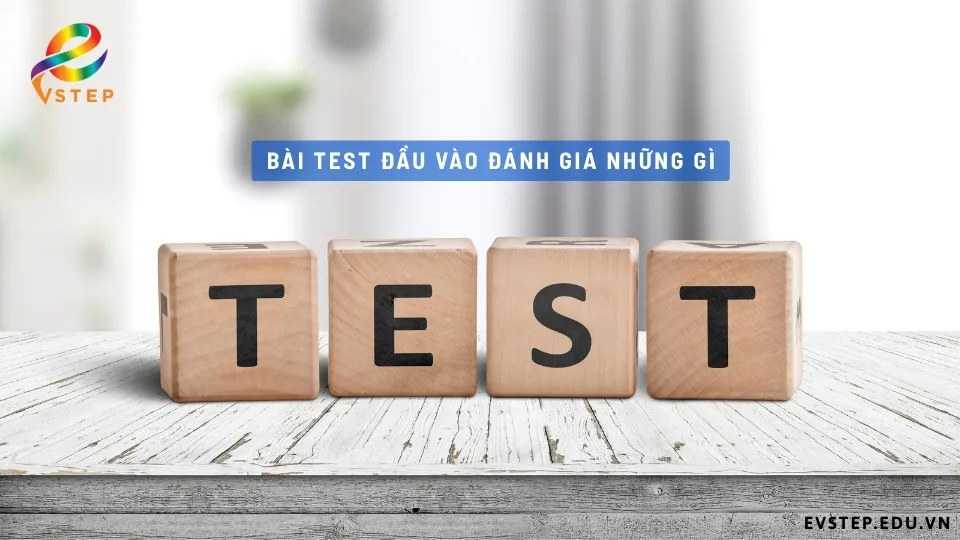 bai-test-dau-vao-danh-gia-nhung-gi